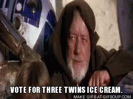 Vote for Three Twins Ice Cream American Airlines Flights Camera Action contest and sweepstakes